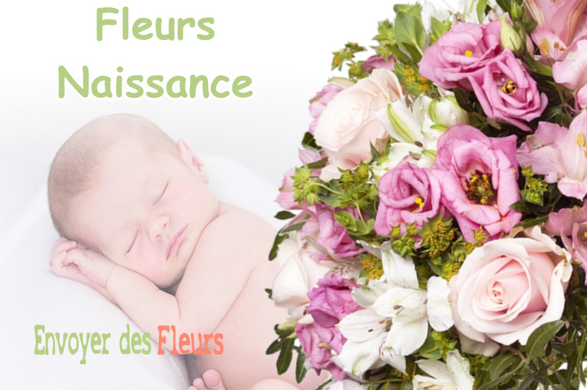 lIVRAISON FLEURS NAISSANCE à LA-CHAPELLE-DE-LA-TOUR